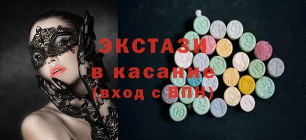 индика Арсеньев