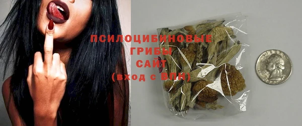 индика Арсеньев