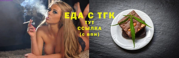 индика Арсеньев