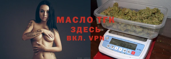 индика Арсеньев