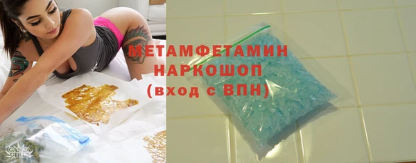 индика Арсеньев