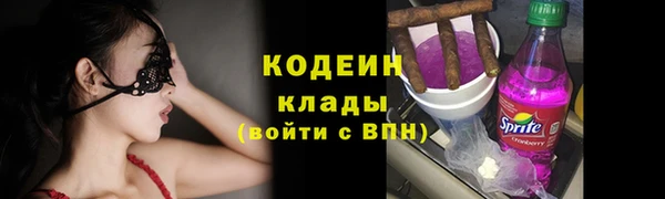 индика Арсеньев