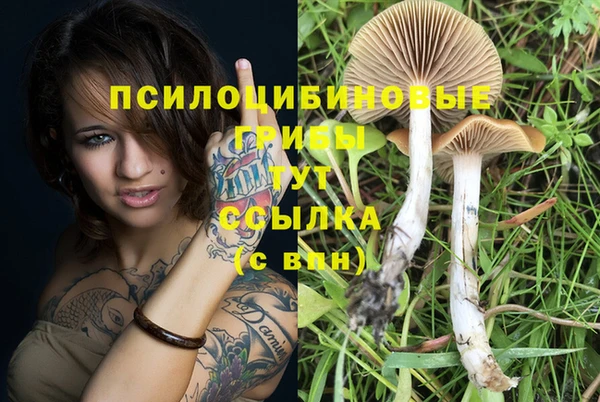 MESCALINE Армянск