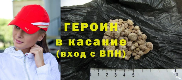 индика Арсеньев