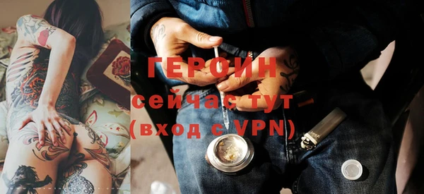 индика Арсеньев