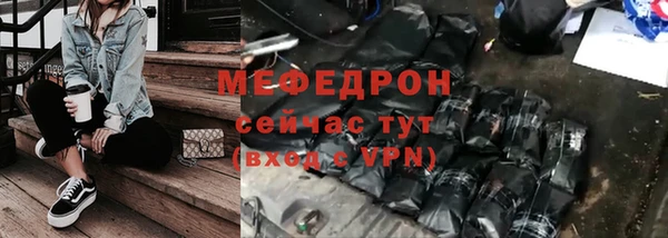 индика Арсеньев